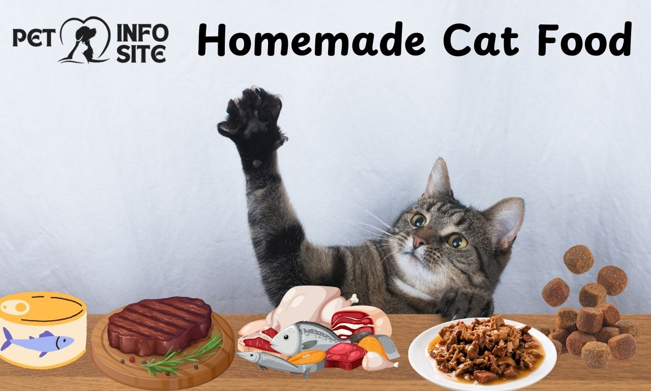 homemade cat food